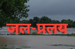 Flood-in-Bhagora-crops-were-submerged-water-entered-the-houses